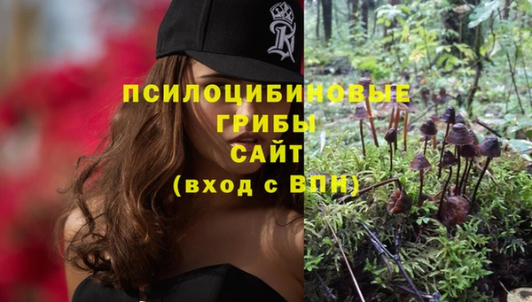 шишки Навашино