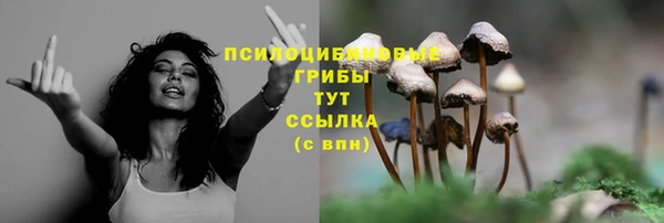 дурь Надым