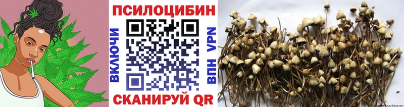 Галлюциногенные грибы GOLDEN TEACHER omg зеркало Собинка купить наркотики сайты